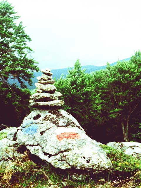 95